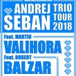 Šeban Vitous Valihora – One Day Jazz Festival – 28.11.2018